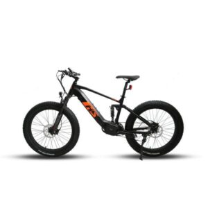 bafang hs fatbike
